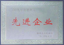 <b>先進企業</b>